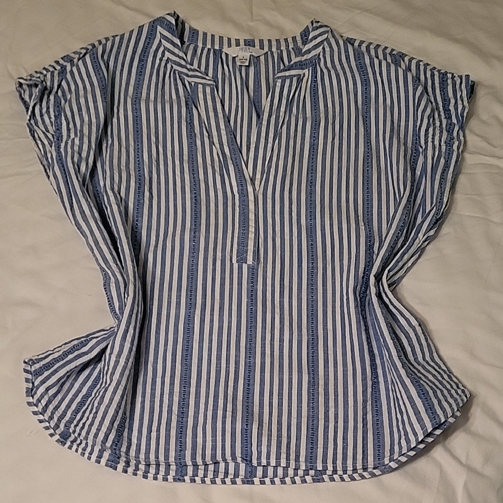 Time and Tru Striped Blouse in Blue and White